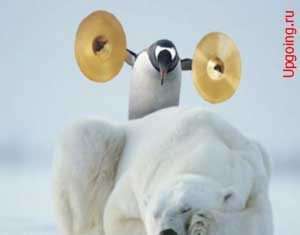 Google Penguin (Пінгвін) — алгоритм викликає безсоння, нудоту і напади панічного страху.