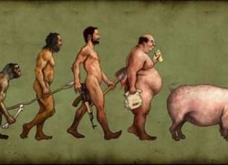 Яндекс підкинув свиню оптимізаторів!