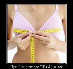 WebArtex – статейная біржа нового покоління для оптимізаторів і вебмастерів