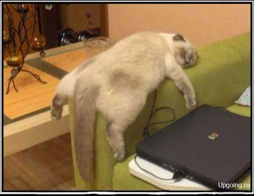 Я втомився, я йду!