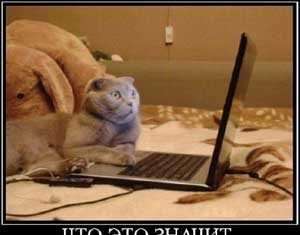 Не критикуй, та не будеш забанений. А за що банили вас на форумах?