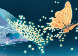 10 доказів Мартіні поєднує квантову механіку з нескінченно складними математичними структурами