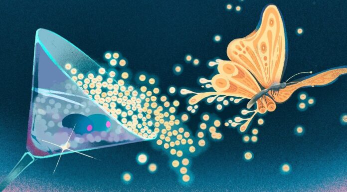 Dziesięć dowodów Martiniego łączy mechanikę kwantową z nieskończenie złożonymi strukturami matematycznymi