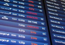 Транспорт, технології та державний хаос: огляд тижня