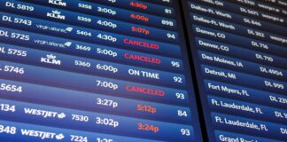 Транспорт, технології та державний хаос: огляд тижня