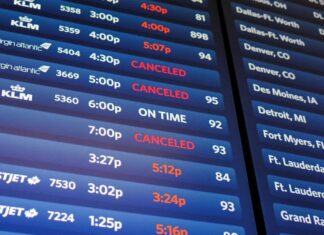 Транспорт, технології та державний хаос: огляд тижня