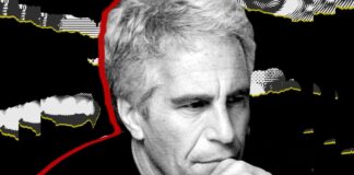 Terugblik 2025: technologie, misdaad en de toekomst