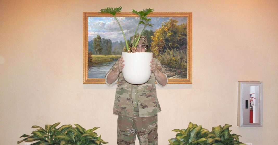 82b71d59-7e7e-4fb4-9b2e-fadef0968645