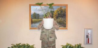 Як американський камуфляж завоював світ