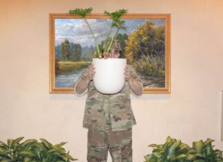 Як американський камуфляж завоював світ