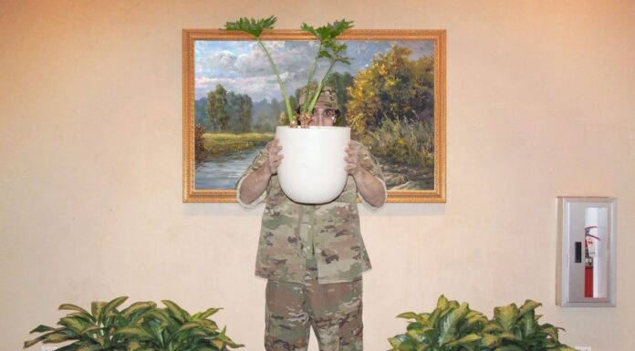 Як американський камуфляж завоював світ