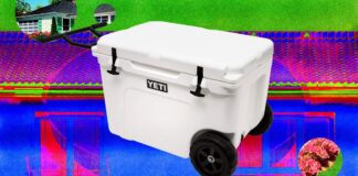 Как выбрать правильный термоконтейнер: руководство по производительности, портативности и долговечности льда