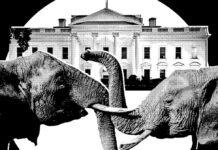 Паніка у «Світі Трампа»: гонка перед midterm-виборами