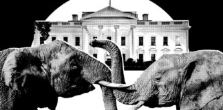 Паніка у «Світі Трампа»: гонка перед midterm-виборами