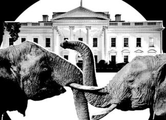 Паніка у «Світі Трампа»: гонка перед midterm-виборами