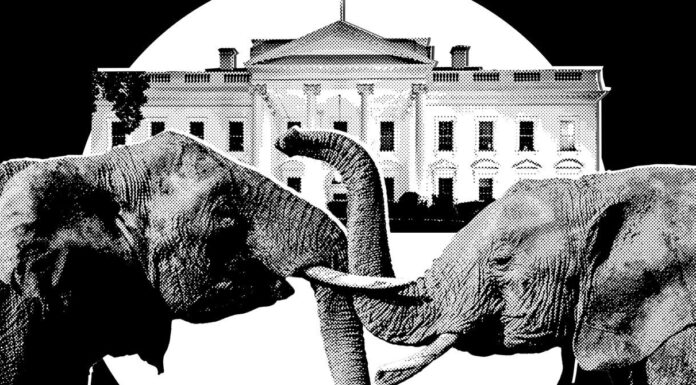 Паніка у «Світі Трампа»: гонка перед midterm-виборами