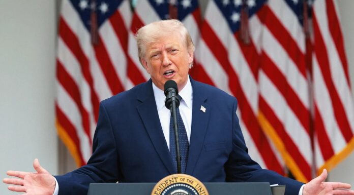 Речь Трампа, Закон о восстании и конспирологические теории
